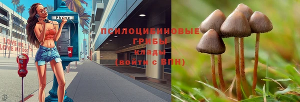 spice Богородск