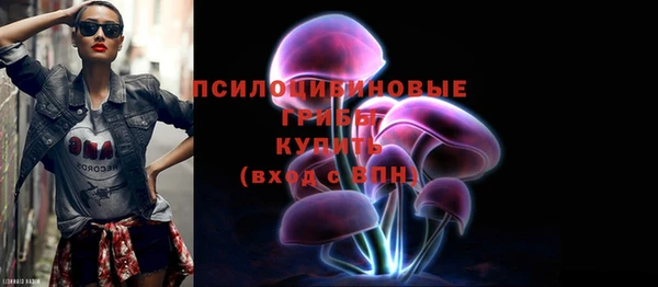 spice Богородск