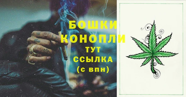spice Богородск