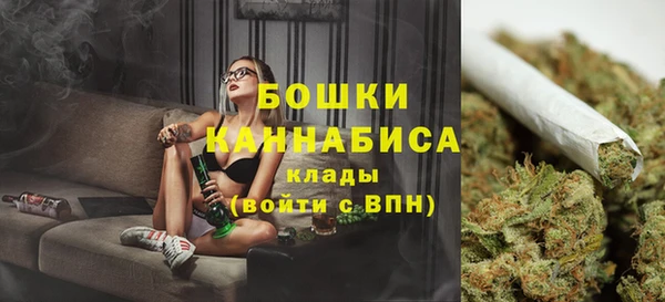 spice Богородск