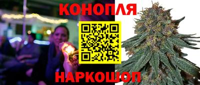 дурь Гатчина